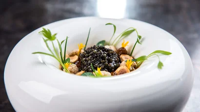 Fein angerichtetes Gericht mit Kaviar, Kräutern und Blüten in weißer Schale