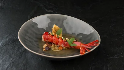 Gourmetgericht mit Garnele, Kräutern und Soße in grauer Schale