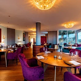 Elegantes Restaurant mit violetten Sesseln und warmem Ambiente